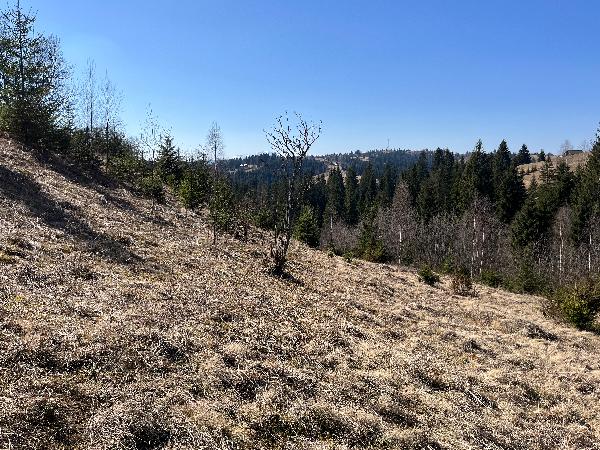  - фото нерухомості