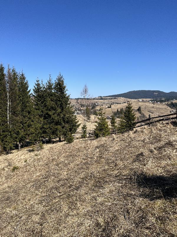  - фото нерухомості