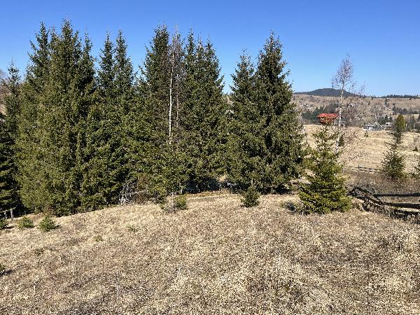  - фото нерухомості