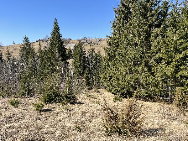  - фото нерухомості