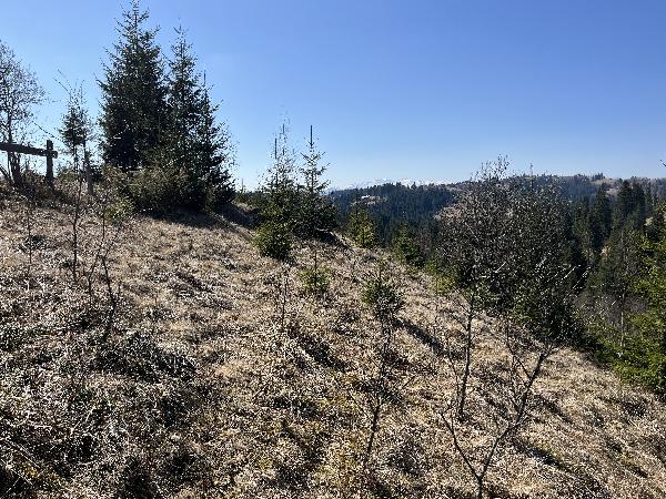  - фото нерухомості