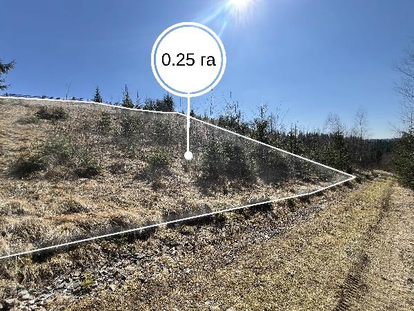  - фото нерухомості