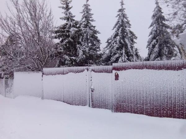  - фото нерухомості