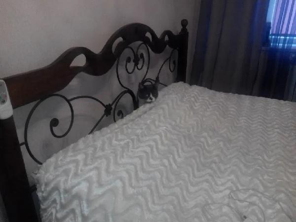  - фото нерухомості