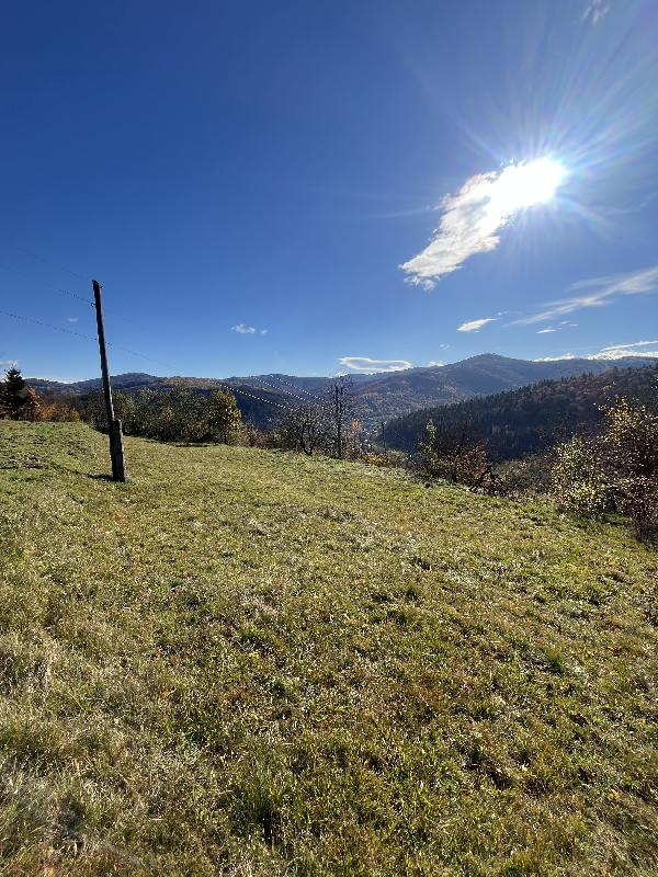  - фото нерухомості