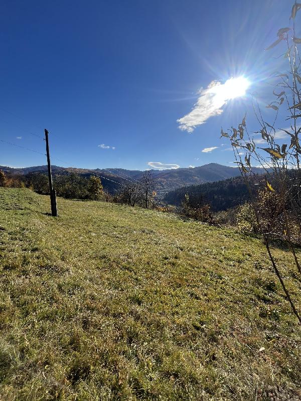  - фото нерухомості