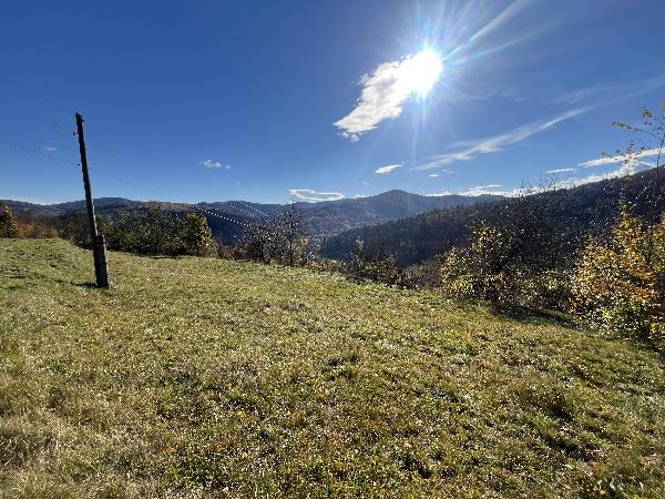  - фото нерухомості