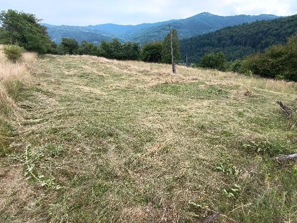  - фото нерухомості