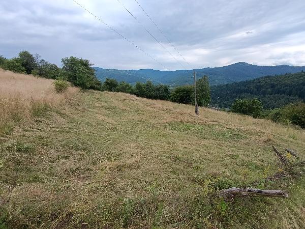  - фото нерухомості