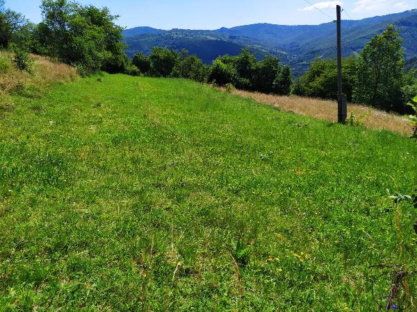  - фото нерухомості