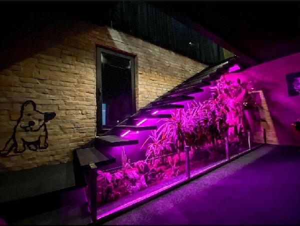  - фото нерухомості