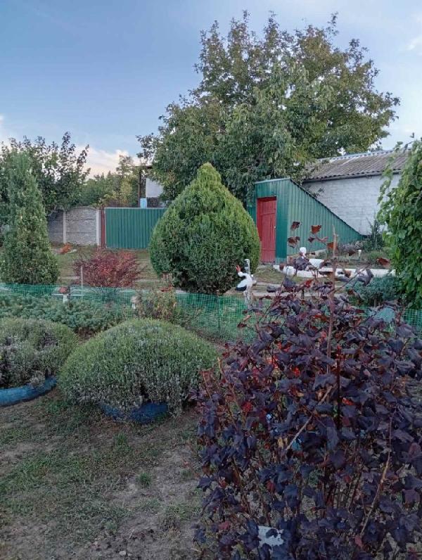  - фото нерухомості