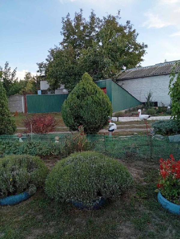  - фото нерухомості