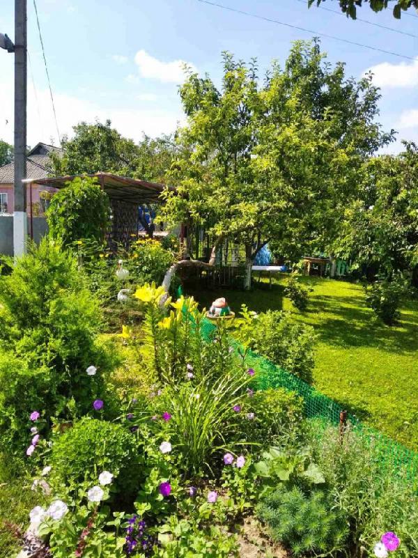  - фото нерухомості