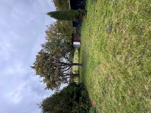  - фото нерухомості