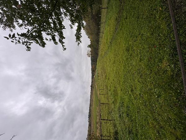  - фото нерухомості