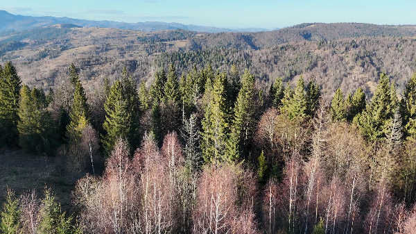  - фото нерухомості