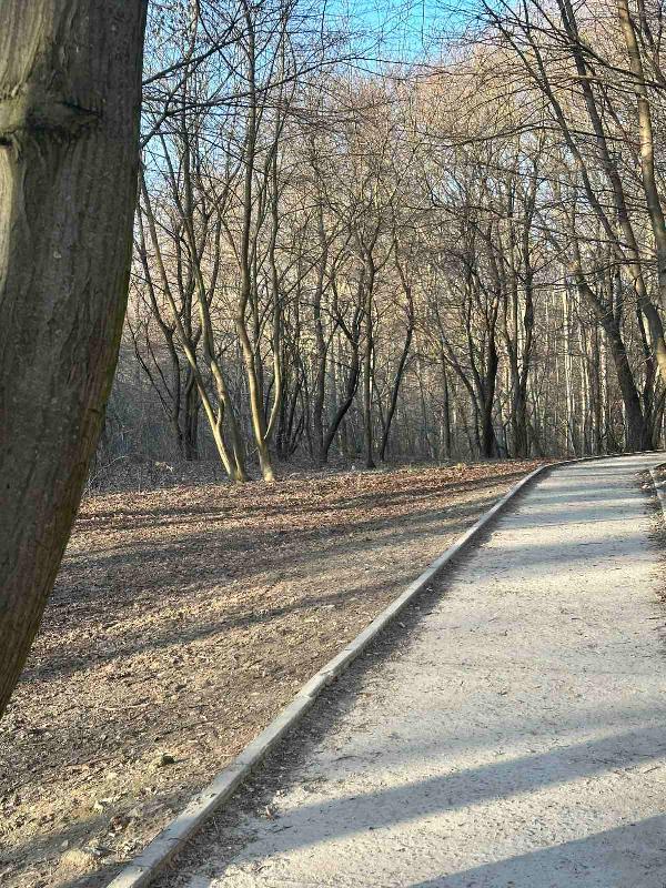  - фото нерухомості