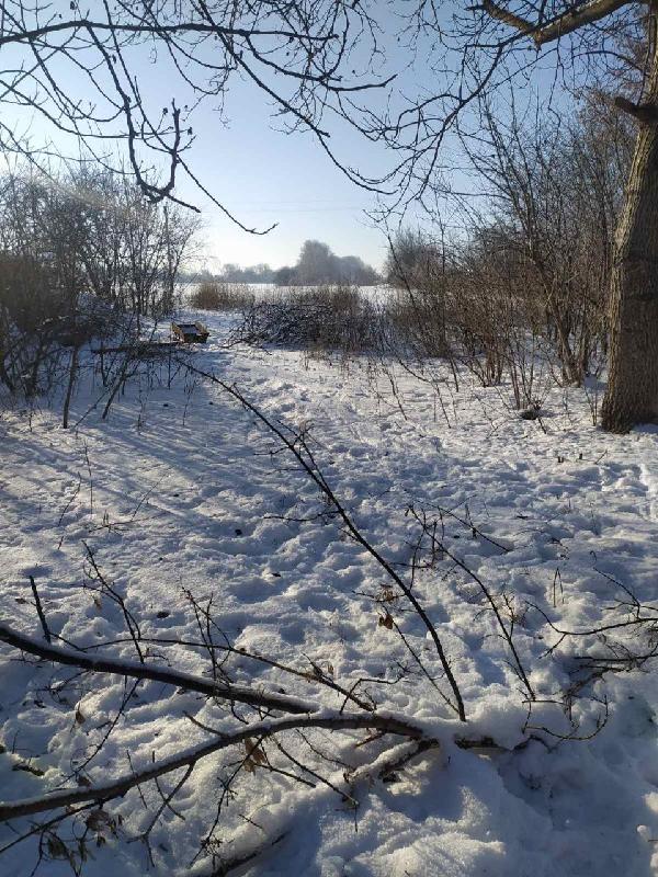  - фото нерухомості