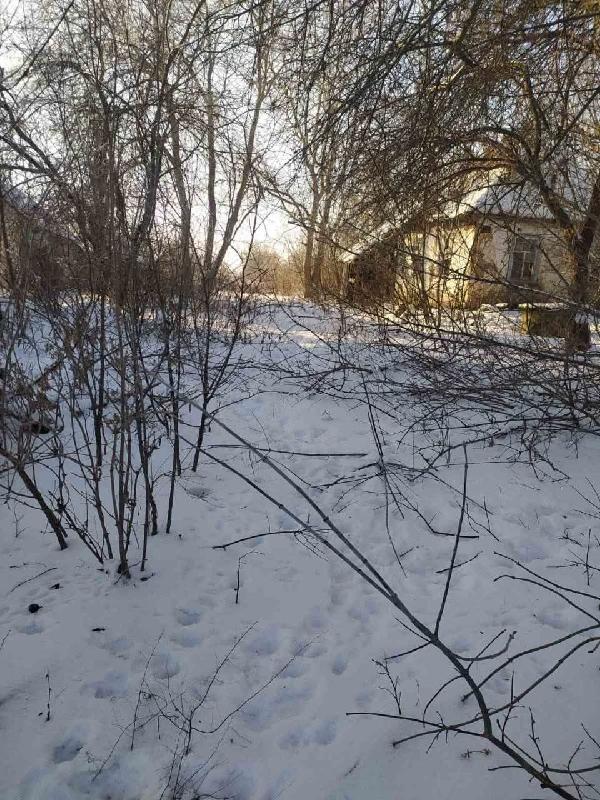  - фото нерухомості