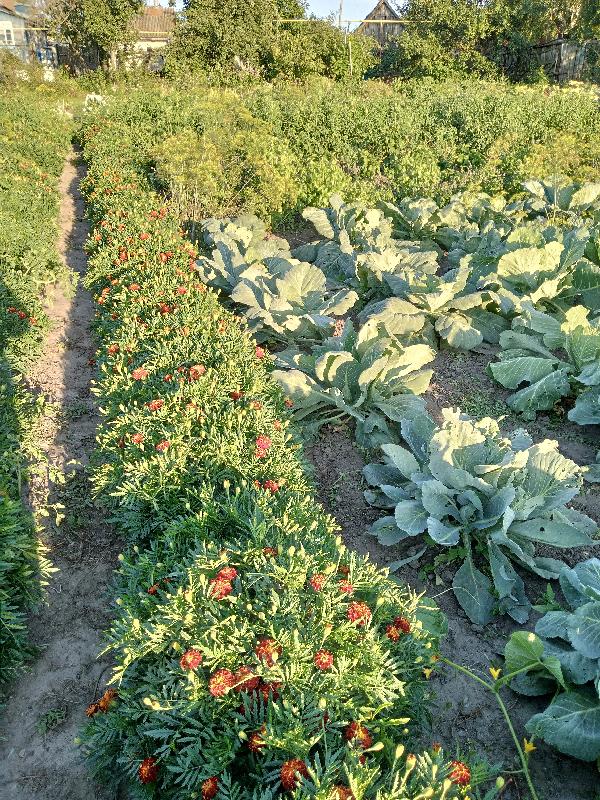  - фото нерухомості