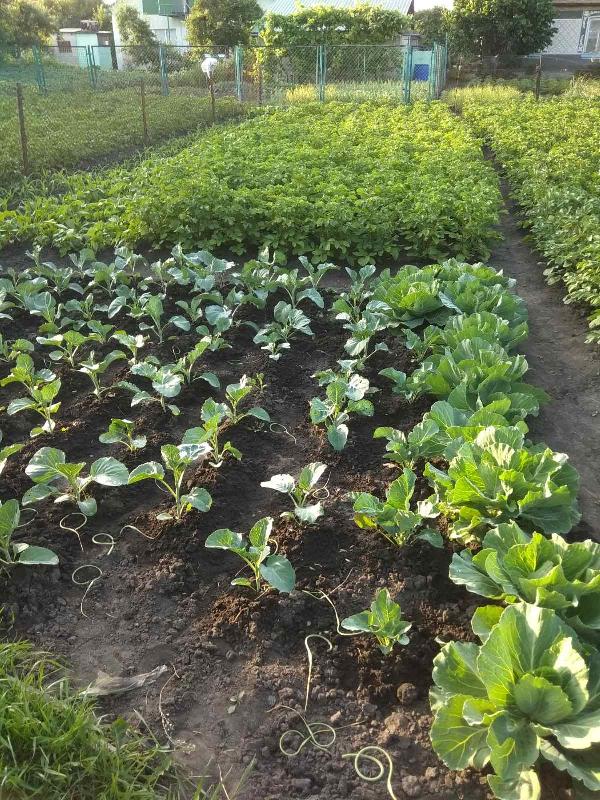 Город 4 сот - фото нерухомості