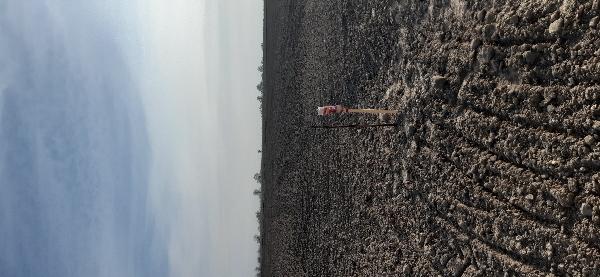  - фото нерухомості