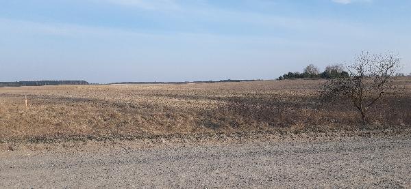  - фото нерухомості