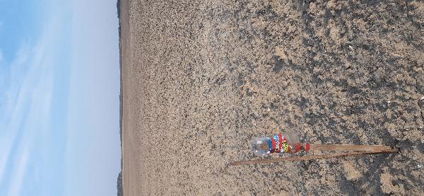  - фото нерухомості