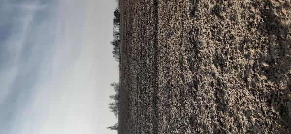  - фото нерухомості