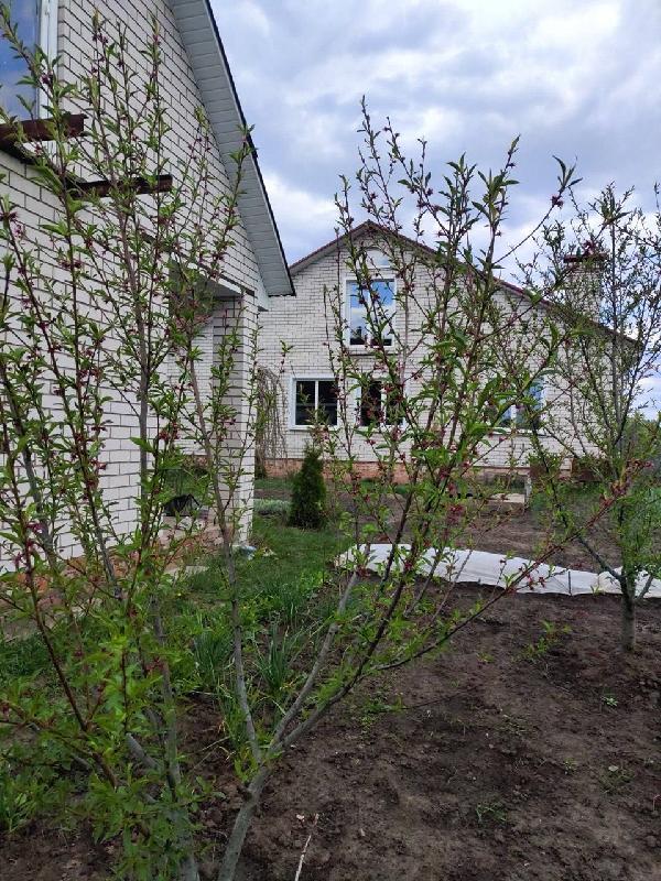  - фото нерухомості