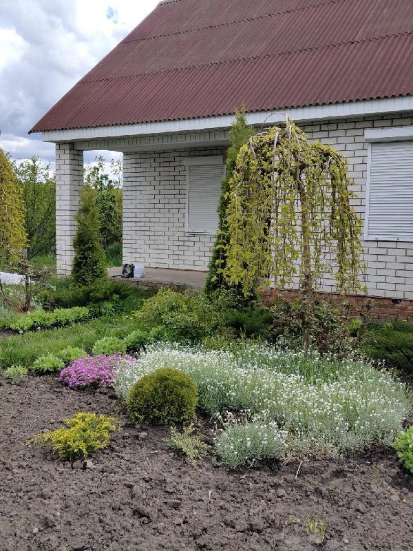 Баня - фото нерухомості