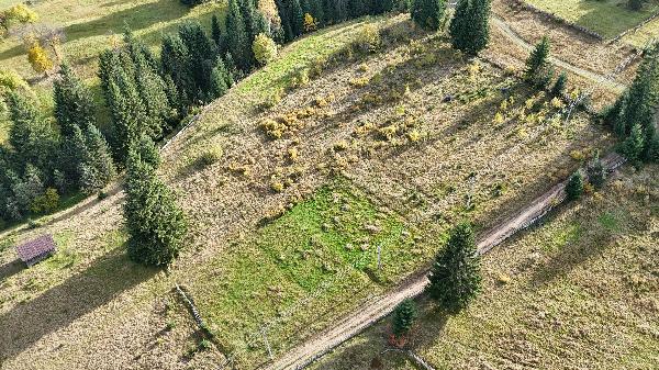  - фото нерухомості