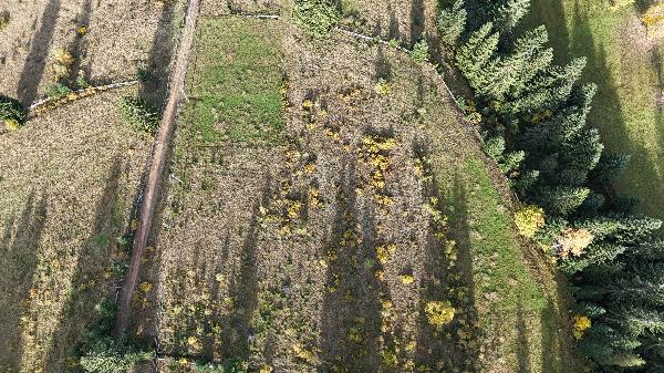  - фото нерухомості