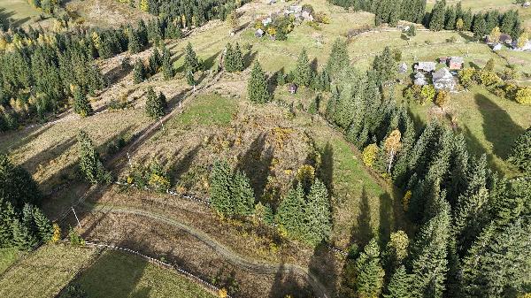  - фото нерухомості