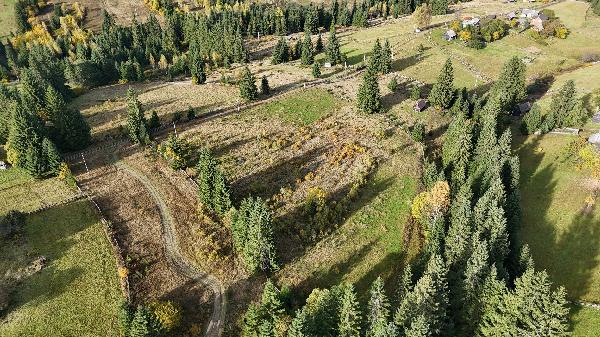  - фото нерухомості
