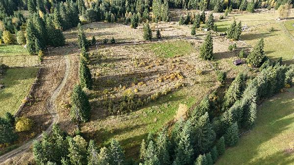  - фото нерухомості