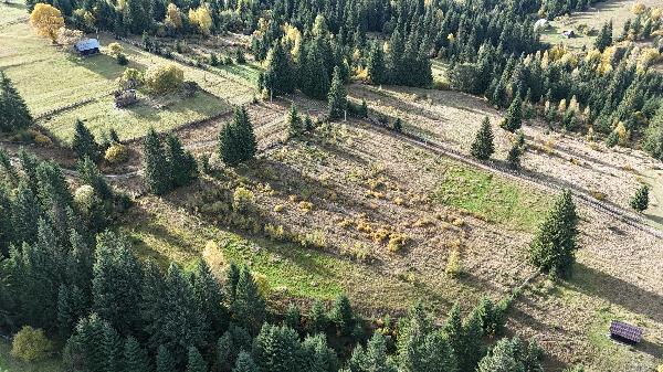  - фото нерухомості