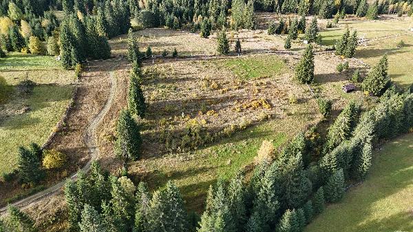  - фото нерухомості