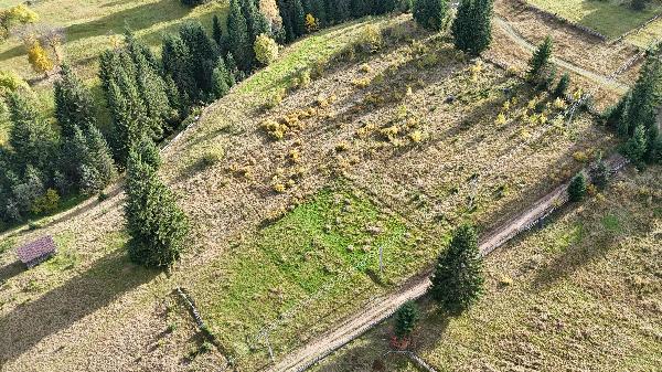  - фото нерухомості