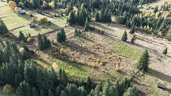  - фото нерухомості