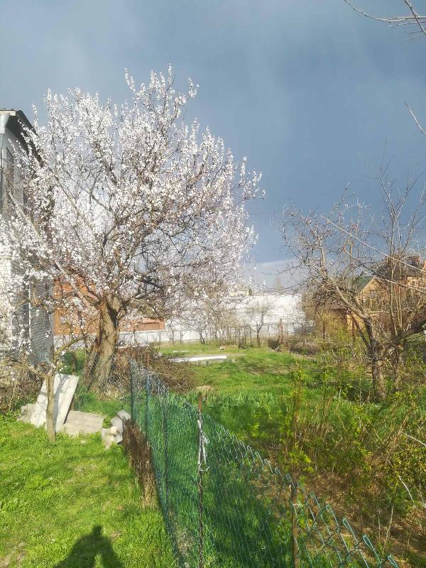  - фото нерухомості