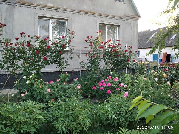  - фото нерухомості