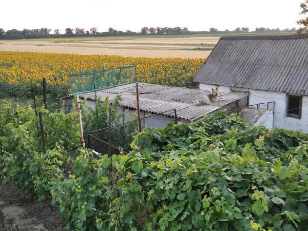  - фото нерухомості