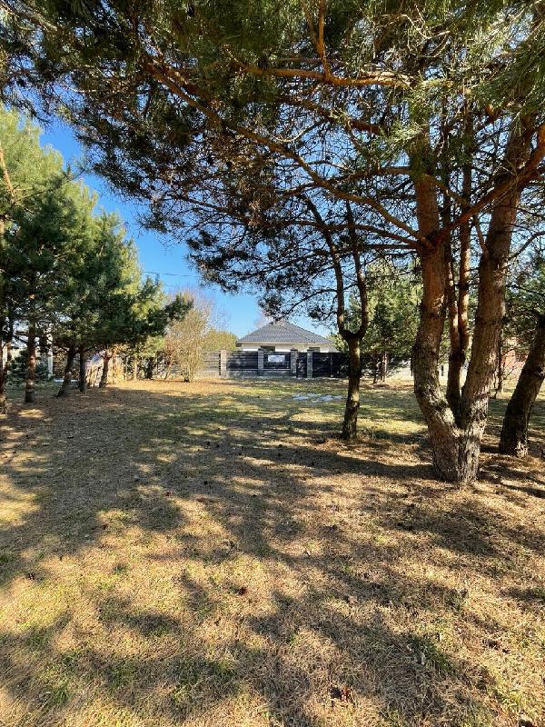  - фото нерухомості