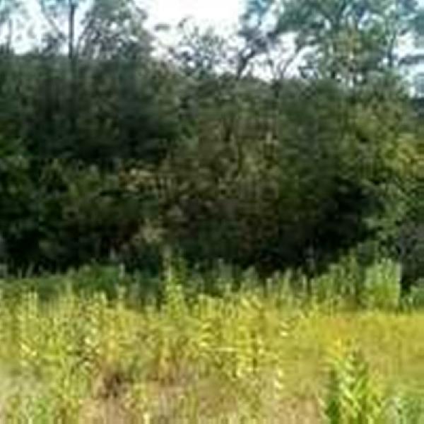  - фото нерухомості