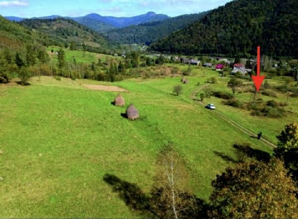  - фото нерухомості