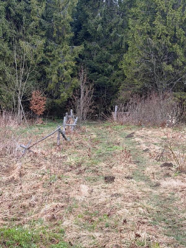  - фото нерухомості