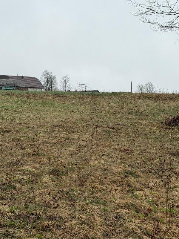  - фото нерухомості