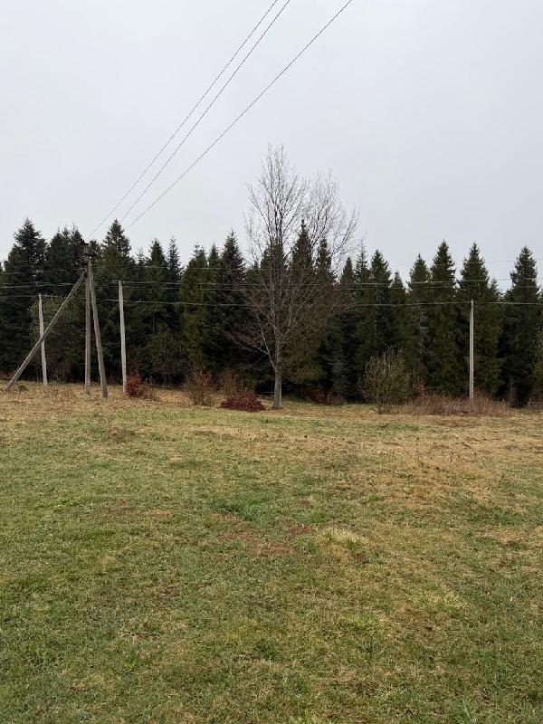  - фото нерухомості